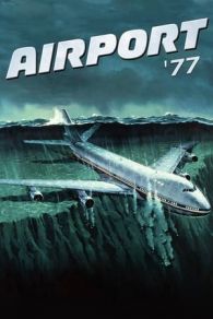 VER Aeropuerto 77 (1977) Online Gratis HD