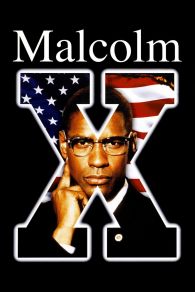 VER Malcolm X Online Gratis HD