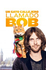 VER Un gato callejero llamado Bob Online Gratis HD